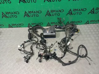 2010066100, 8891960839 Проводка моторного отсека Geely Tugella Арт ARM325603, вид 6