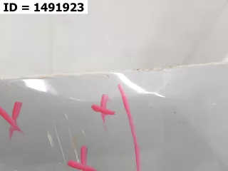 S203F270108-0100 Дверь багажника  Changan CS 55 Арт VD1491923, вид 5