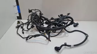 12518617697 BMW Жгут проводов (Проводка) MINI CLUBMAN F54 Арт E23512594, вид 1