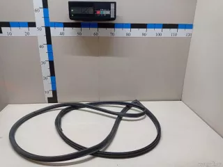 821301M000 Hyundai-Kia Уплотнитель двери Kia Cerato 2 Арт E23523186, вид 1