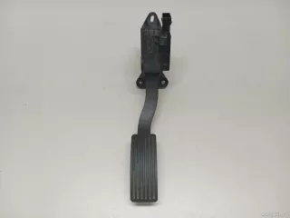 204000516AA Chery Педаль газа Chery Tiggo  2 Арт E23528354, вид 1