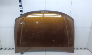 651000987R Капот Renault Duster 1 Арт A985091K, вид 1