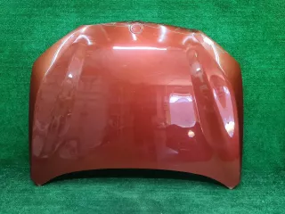 41007463772 капот BMW X1 F48 Арт DIZ0000006747749, вид 1