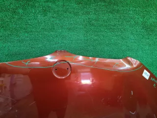 41007463772 капот BMW X1 F48 Арт DIZ0000006747749, вид 6