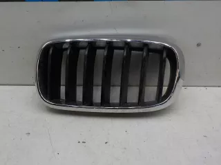 51137316053 Решетка радиатора BMW X5 F15 Арт 741615, вид 1