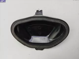 156192-00 Крышка (заглушка) задняя фары правой Opel Signum Арт 54911421, вид 2