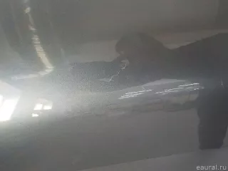 2387209707 Mercedes Benz Дверь передняя левая Mercedes E W213 Арт E103040383, вид 11