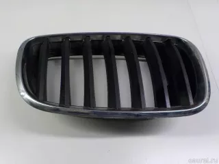 51137171396 BMW Решетка радиатора BMW X6 E71/E72 Арт E41150760, вид 1