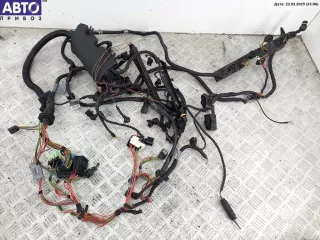 Проводка двигателя BMW 3 E46 Арт 54891348, вид 1
