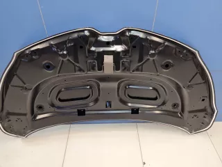 STRN160150CN Капот Renault Kaptur Арт ZAP339003, вид 2