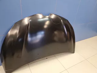 STRN160150CN Капот Renault Kaptur Арт ZAP339003, вид 4