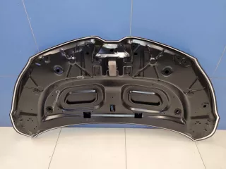 STRN160150CN Капот Renault Kaptur Арт ZAP339017, вид 2