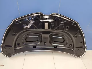 STRN160150CN Капот Renault Kaptur Арт ZAP339019, вид 2