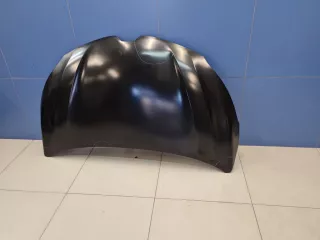 STRN160150CN Капот Renault Kaptur Арт Z339003, вид 5