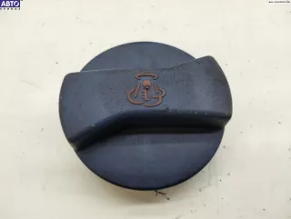1J0121321A Пробка расширительного бачка Volkswagen Passat B5 Арт 54892064, вид 1