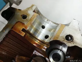 110411079R Renault Головка блока Renault Duster 2 2.0л Арт E90412543, вид 11