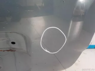  Дверь багажника со стеклом Renault Duster 2 Арт E41134589, вид 8