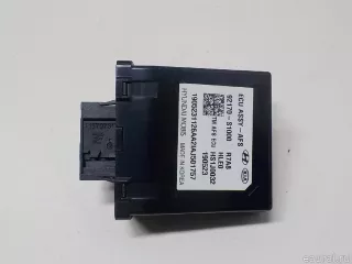 92170S1000 Hyundai-Kia Блок электронный Hyundai Santa FE 4 (TM) restailing Арт E52445010, вид 1