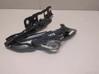 41007427051 BMW Петля капота левая BMW 7 G11/G12 Арт E23576445, вид 5