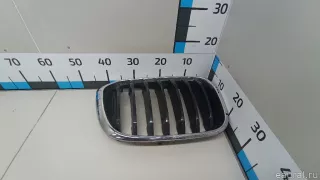 51137440854 BMW Решетка радиатора BMW X4 G02 Арт E103045237, вид 1
