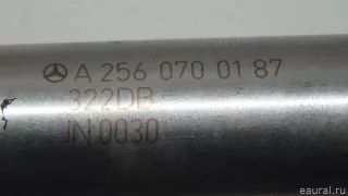 2560700187 Mercedes Benz Распределитель впрыска (инжектор) Mercedes R W251 Арт E70731072, вид 8