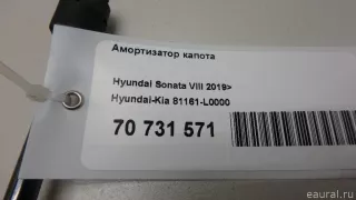 81161L0000 Hyundai-Kia Амортизатор капота Hyundai Sonata (DN8) Арт E70731571, вид 7