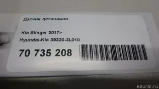 393203L010 Hyundai-Kia Датчик детонации Genesis G80 Арт E70735208, вид 7
