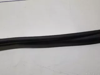 51727468732 BMW Уплотнитель (внутри) BMW 5 G30/G31 Арт E31163339, вид 3