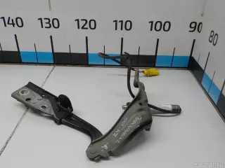 5E0823302C VAG Петля капота правая Skoda Octavia A8 Арт E31479872, вид 1