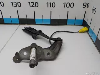 5E0823302C VAG Петля капота правая Skoda Octavia A8 Арт E31479872, вид 3