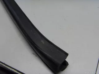 51327020577 BMW Уплотнитель стекла двери BMW X5 E53 Арт E52439802, вид 4