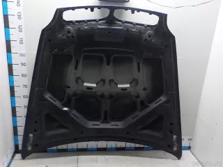 41617273439 BMW Капот BMW X6 E71/E72 Арт E52452063, вид 11