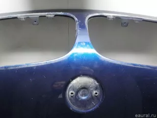 41617273439 BMW Капот BMW X6 E71/E72 Арт E52452063, вид 4