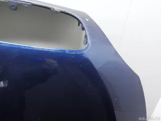 41617273439 BMW Капот BMW X6 E71/E72 Арт E52452063, вид 5