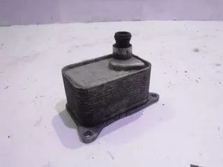 06L117021C Радиатор масляный Audi A4 B8 Арт 5553206_2, вид 1