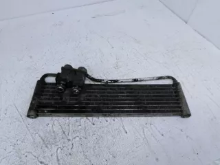 A2215004000 Радиатор масляный Mercedes S W221 Арт 5683719_2, вид 1