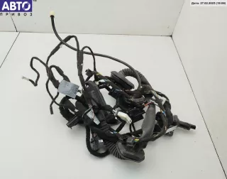 6913148, 6918763 Проводка двери BMW 7 E65/E66 Арт 54877142, вид 1