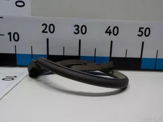 902584 Citroen-Peugeot Уплотнитель двери Peugeot 308 1 Арт E51549783, вид 4