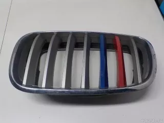 51137185223 BMW Решетка радиатора BMW X6 E71/E72 Арт E52452188, вид 1