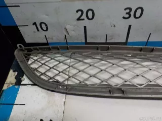 51117176282 BMW Решетка в бампер центральная BMW X5 E70 Арт E52454492, вид 3