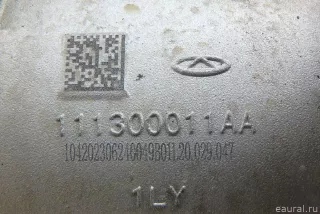 111300011AA Chery Насос (помпа) электрический Chery Tiggo  2 Арт E95707306, вид 8