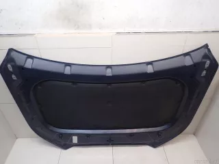 66400S8000 Hyundai-Kia Капот Hyundai Palisade Арт E95711458, вид 14