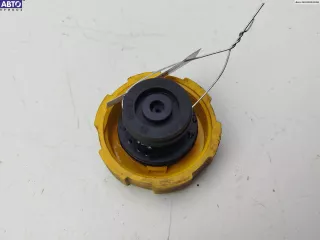9202799, 8715350 Пробка расширительного бачка Opel Vectra C  Арт 54870112, вид 1