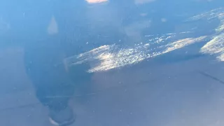 8454AM68KA0 Стекло двери задней правой Suzuki Alto HA25 Арт 11128965, вид 3
