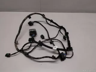 4013754XST10A Great Wall Проводка (коса) Haval Jolion Арт E23587650, вид 1