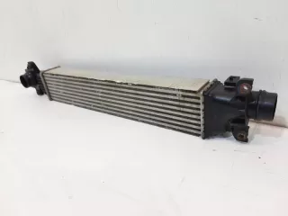 144615NA0A Интеркулер Infiniti J Арт lz167033, вид 3