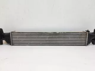 144615NA0A Интеркулер Infiniti QX50 1 Арт VZ167033, вид 5