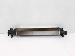144615NA0A Интеркулер Infiniti QX50 1 Арт VZ167033, вид 7