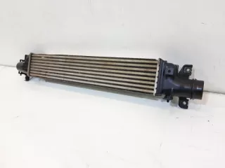 144615NA0A Интеркулер Infiniti QX50 1 Арт VZ167033, вид 9