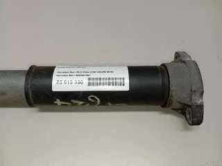 2533201001 Mercedes Benz Амортизатор задний Mercedes S C217 Арт E23613330, вид 9